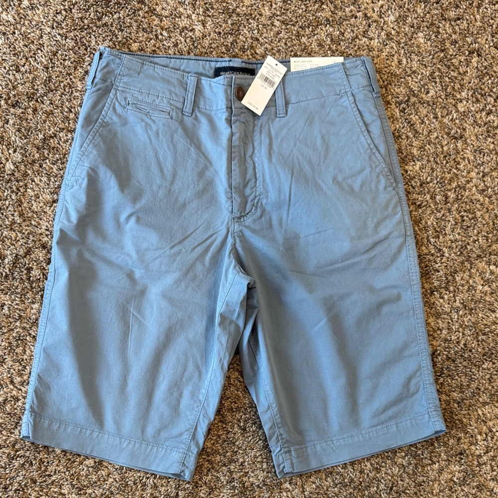 American Eagle Outfitters Light Blue Flat Front Shorts